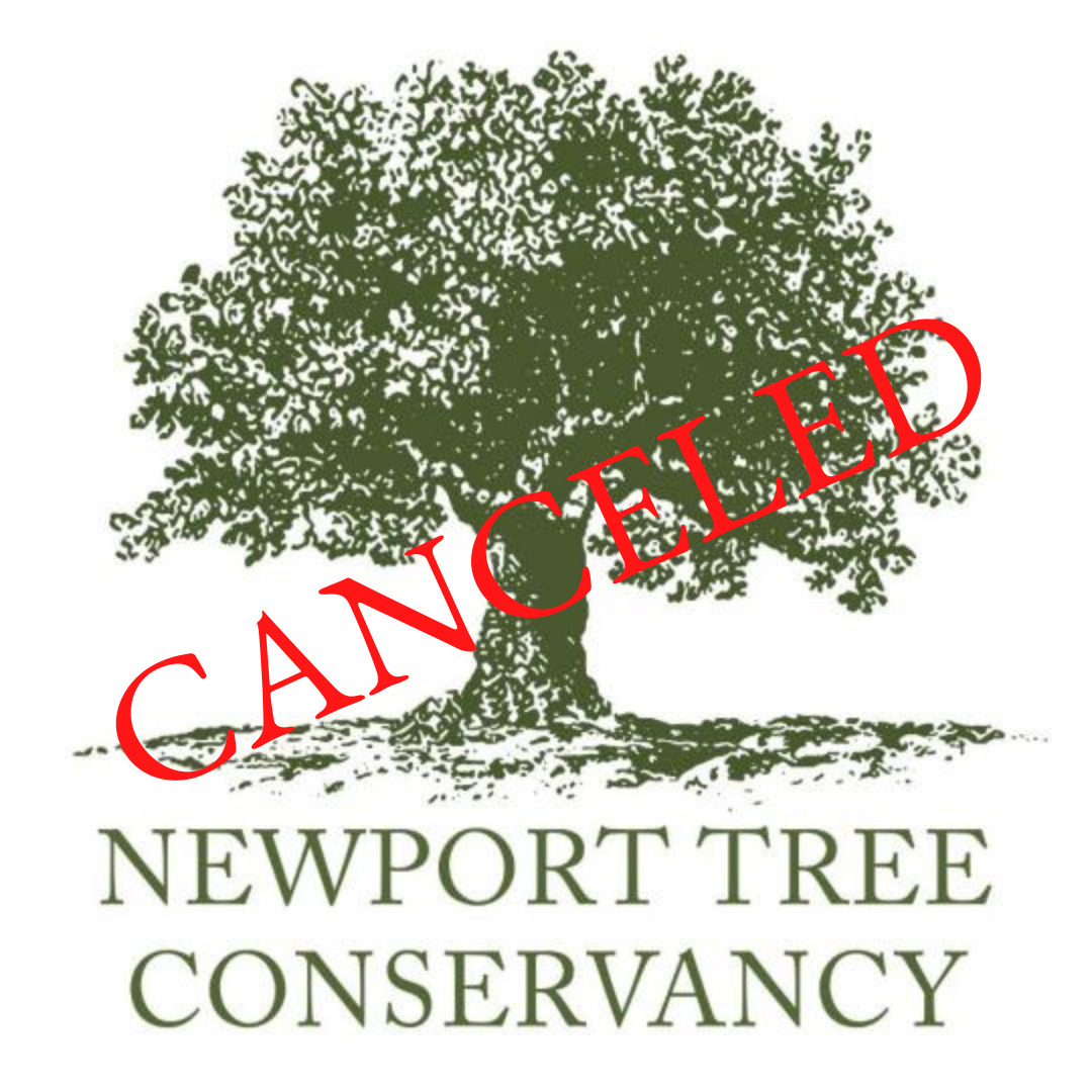 Arbor Day Celebration in Partnership with the Newport Tree Conservancy