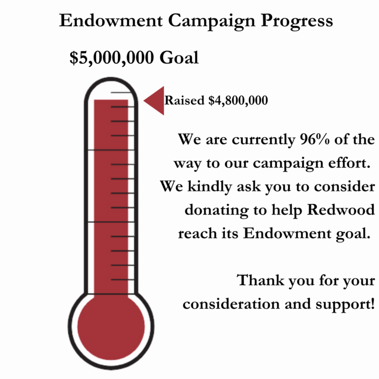 Fundraiser Progress Update Stat Graphic Instagram Post in Dark Blue Red Style (2)