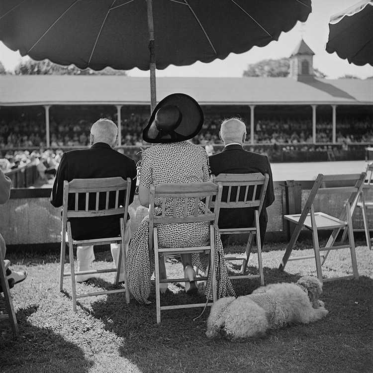 Spectators watch Newport Tennis Week play from the umbrella boxes at Newport Casino, 1953.