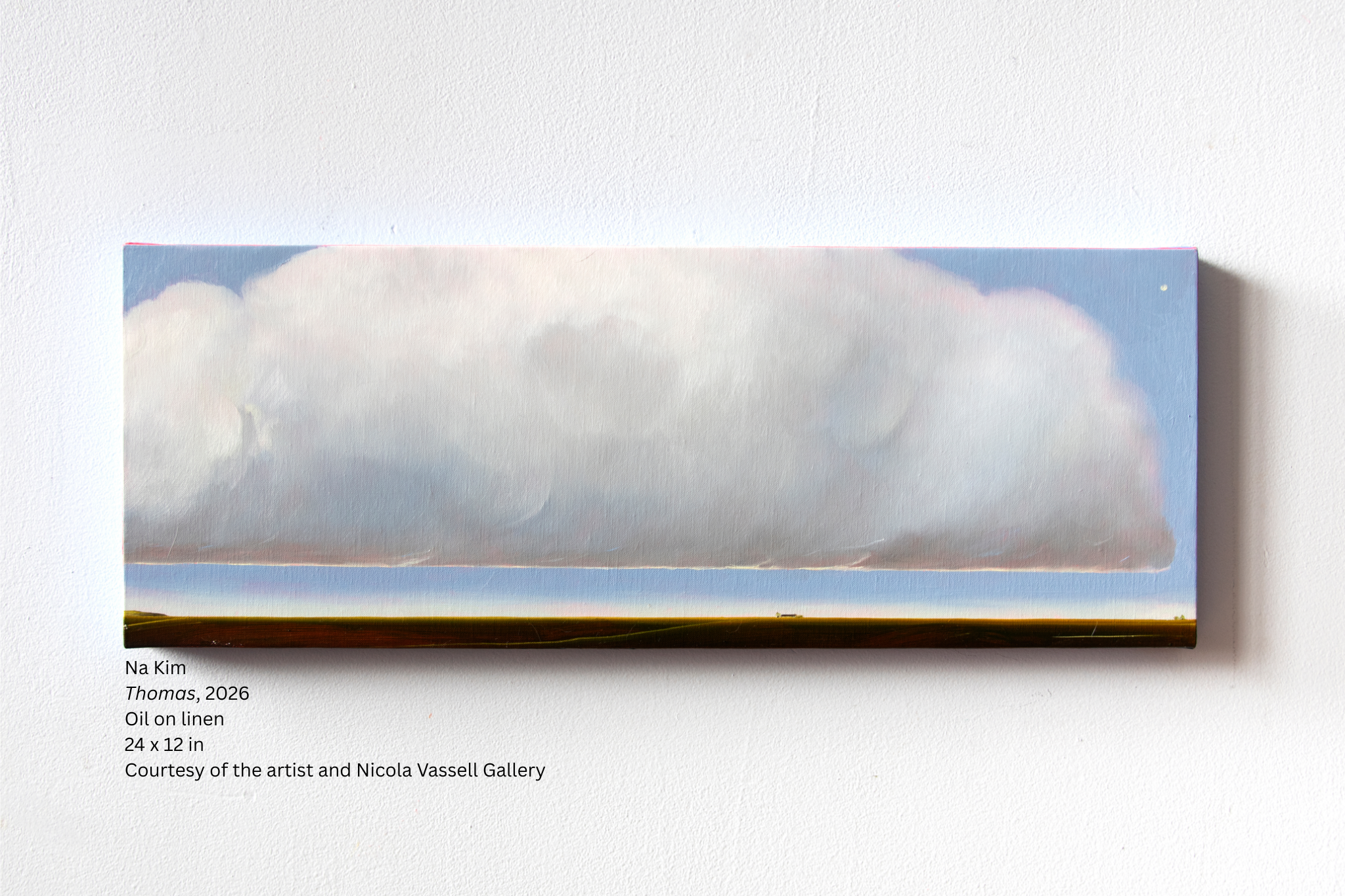 Courtesy of the artist and Nicola Vassell Gallery (2)
