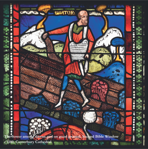 The Sower among thorns and on good ground, Second Bible Window c 1180, Canterbury Cathedral